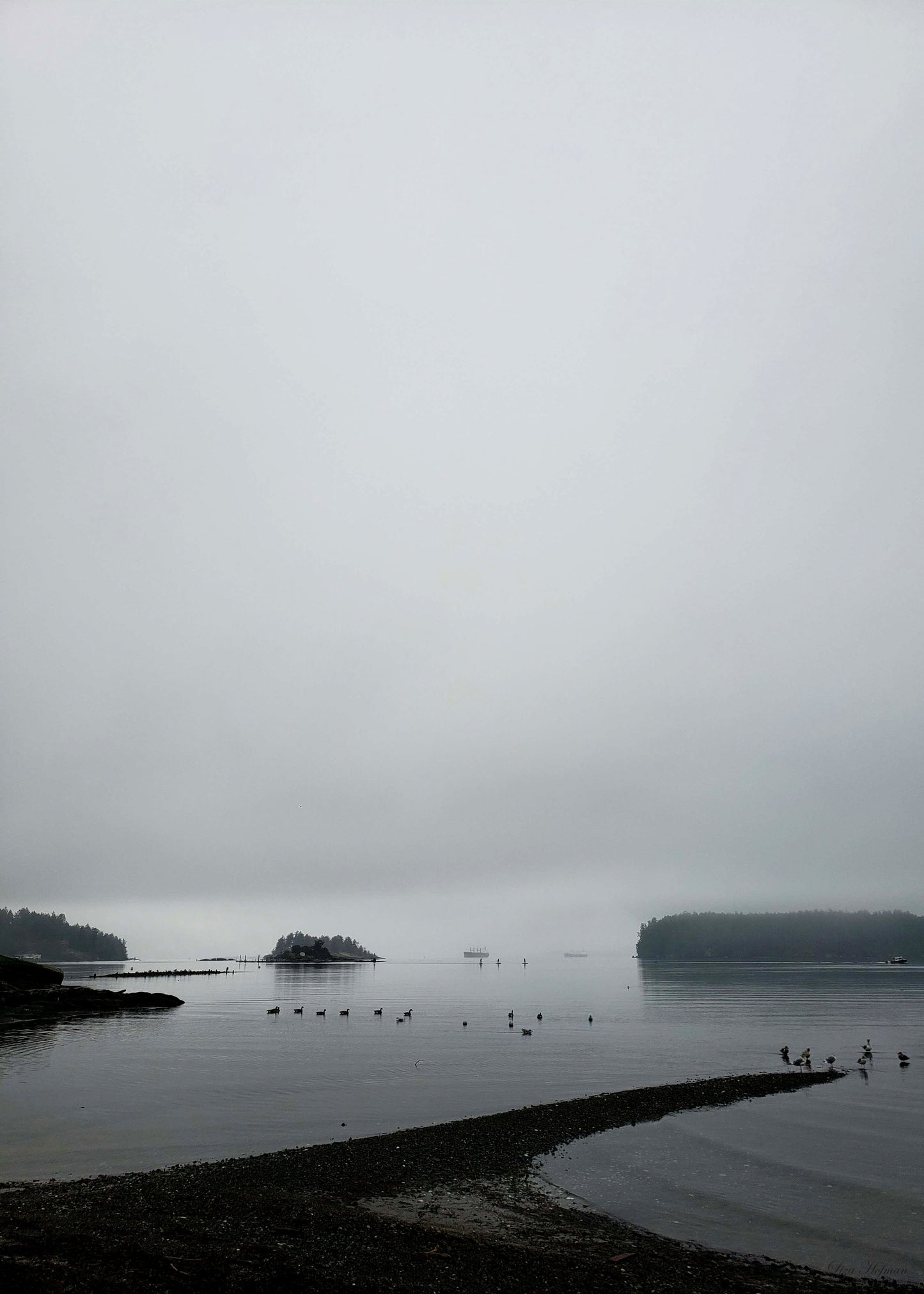 Departure Bay, BC, Original Print