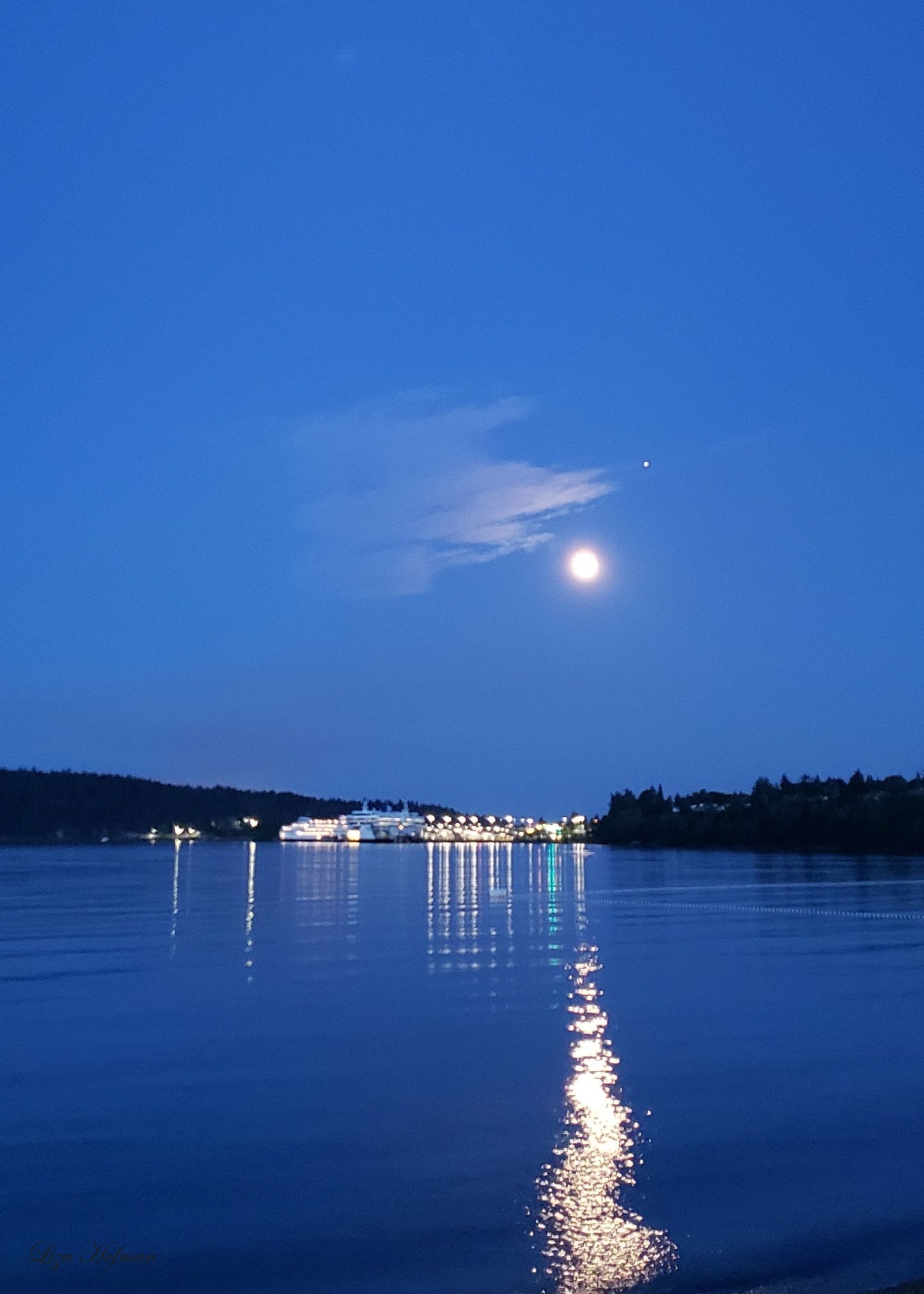 Departure Bay, BC, Moonlight, Original Print