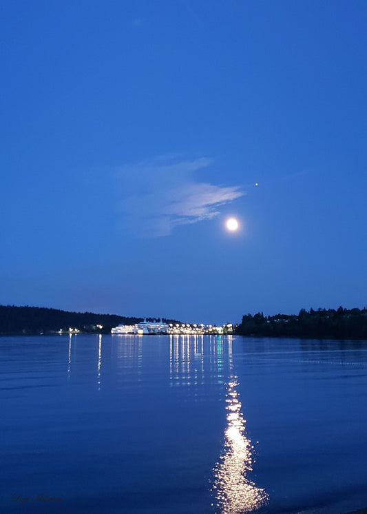 Departure Bay, BC, Moonlight, Original Print