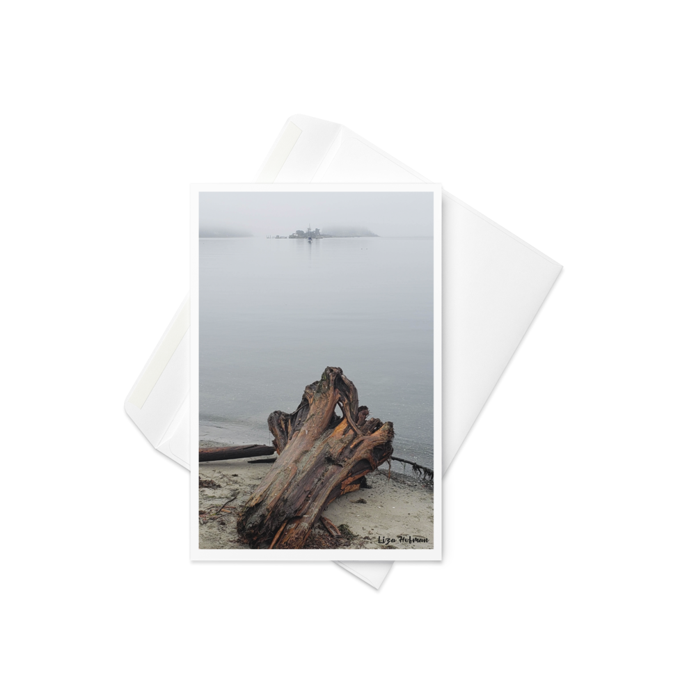 Departure Bay, driftwood, Original Photo Card