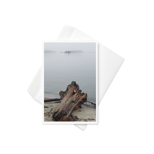 Departure Bay, driftwood, Original Photo Card