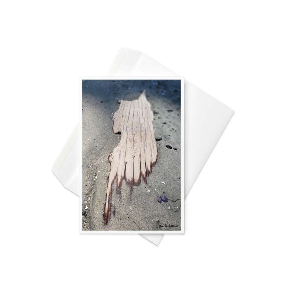 Savary Island, BC, driftwood, Original Photo Card