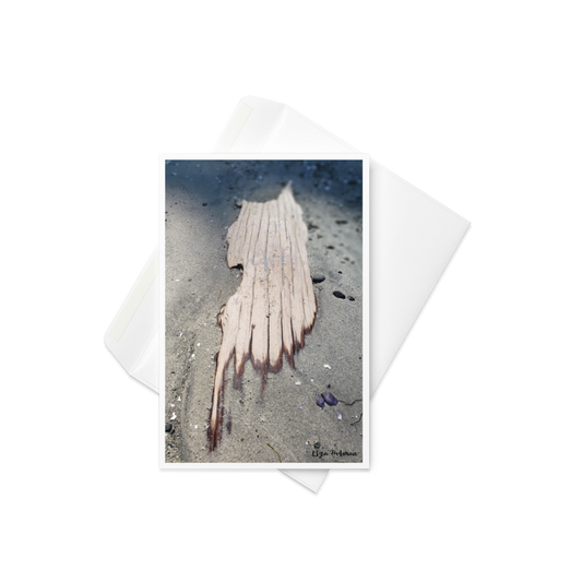 Savary Island, BC, driftwood, Original Photo Card