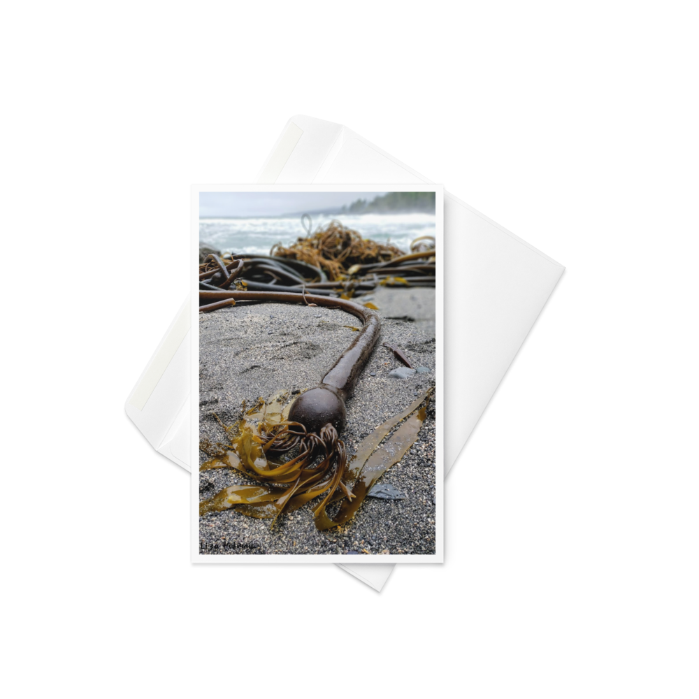 Botanical Beach, Original Photo Card