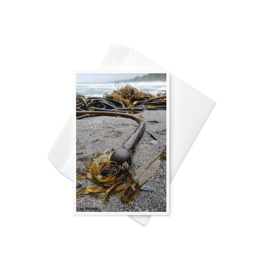 Botanical Beach, Original Photo Card